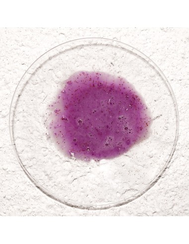 Энзимная пудра-эксфолиант